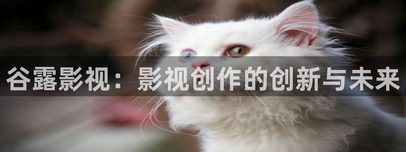 电影天堂苹果：谷露影视：影视创作的创新与未来