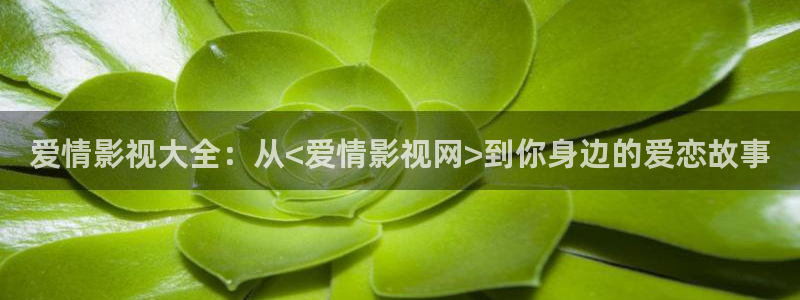 日本天堂影视：爱情影视大全：从<爱情影视网>到你身边的爱恋故事
