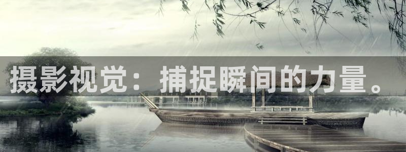 大象电影天堂：摄影视觉：捕捉瞬间的力量。