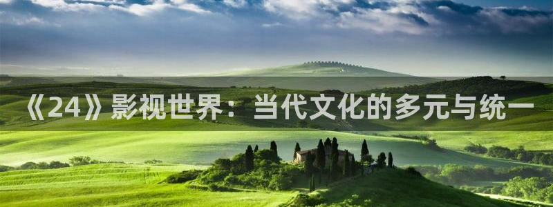美妙天堂的视频：《24》影视世界：当代文化的多元与统一