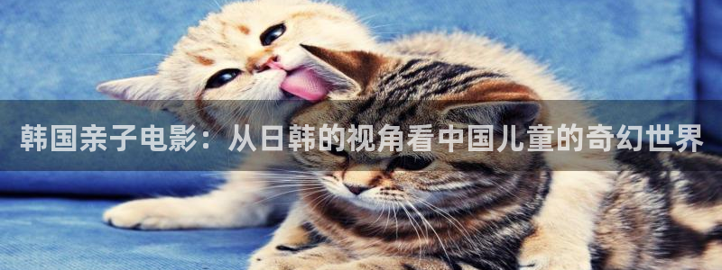 日韩天堂在线视频：韩国亲子电影：从日韩的视角看中国儿童的奇幻世界